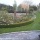 Min trädgård 2012 ...