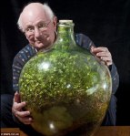 david-latimer-sealed-bottle-garden